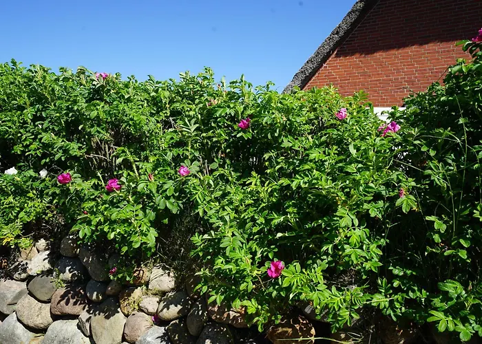 Dikstig Rechts Appartement